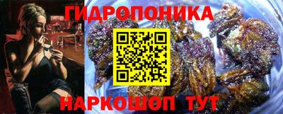 mdma Можга