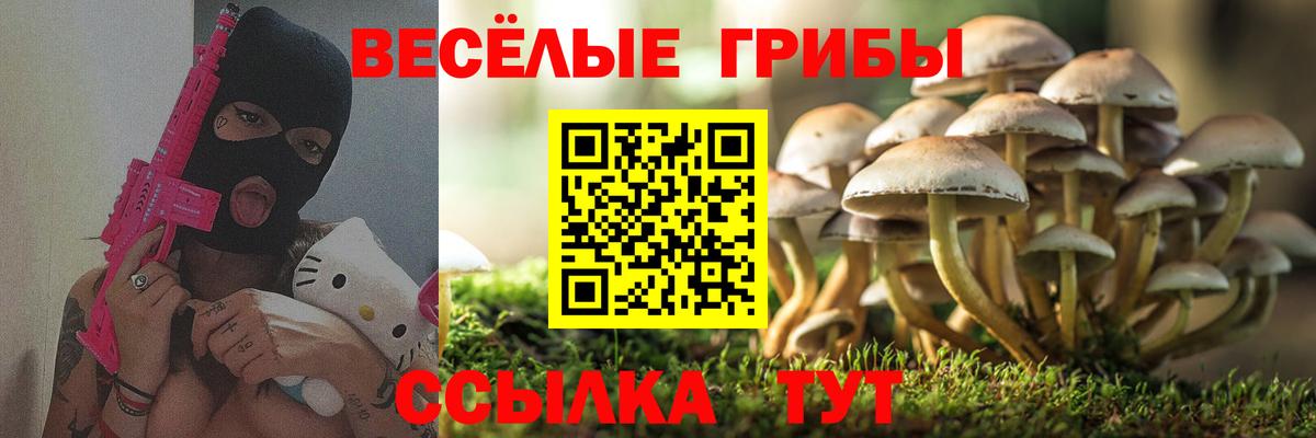 Псилоцибиновые грибы Magic Shrooms  Псилоцибиновые грибы мухоморы  Вход с VPN  Сергиев Посад 